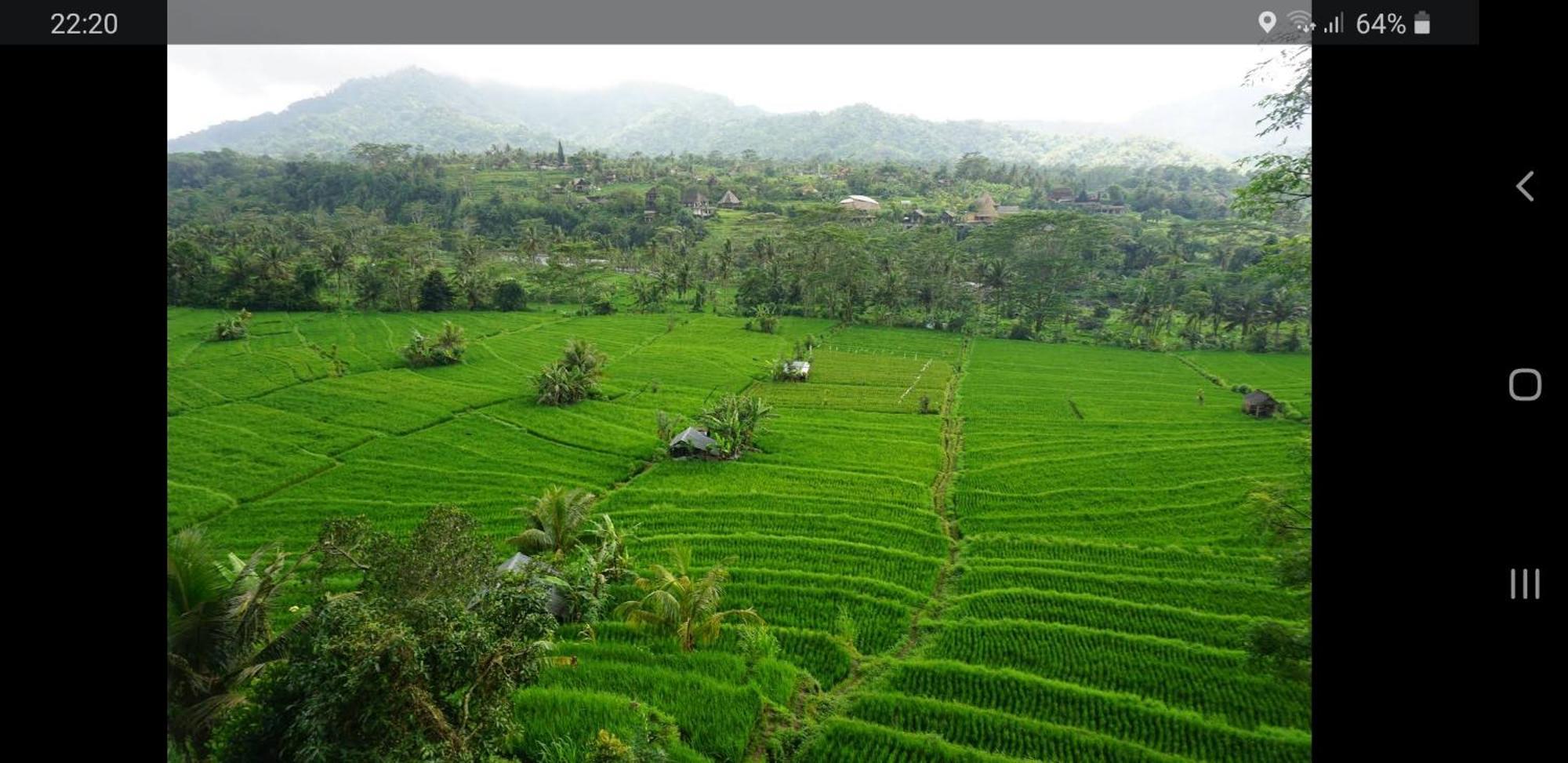 Lumbung Ayu Sari And Spa Sidemen  Exterior foto